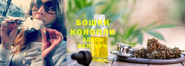 тгк Елабуга