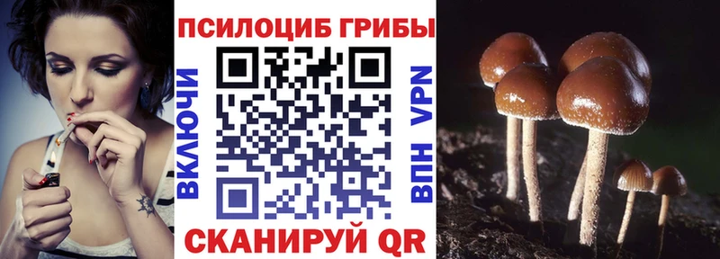 Галлюциногенные грибы GOLDEN TEACHER  сколько стоит  Назрань 