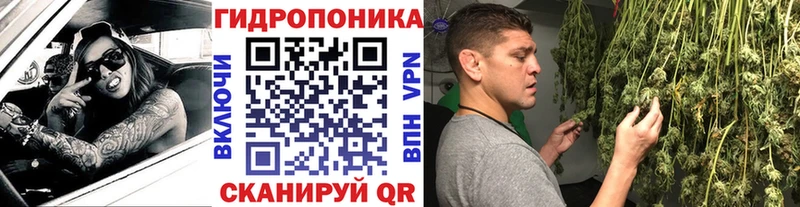 Конопля ГИДРОПОН  Назрань 
